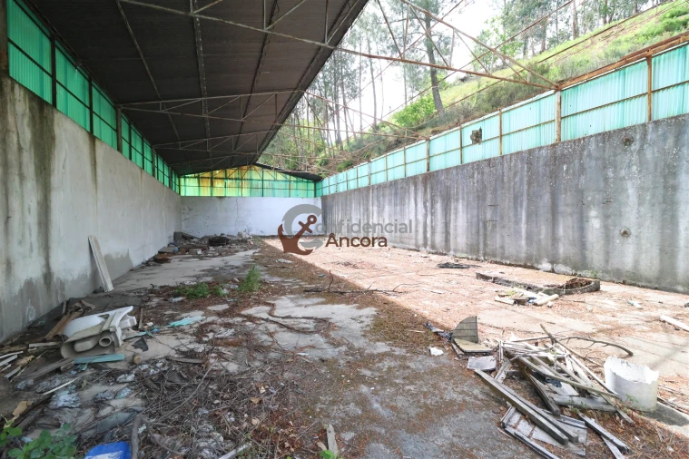 Negócio para Venda em São Paio Foto 86