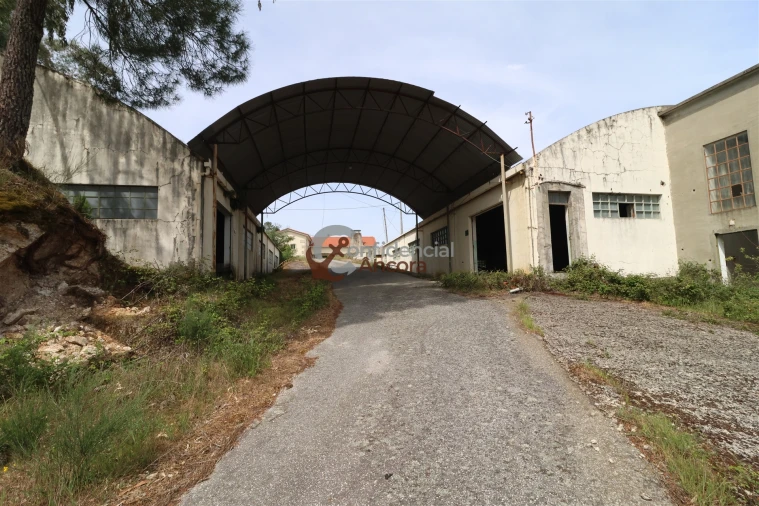 Negócio para Venda em São Paio Foto 74
