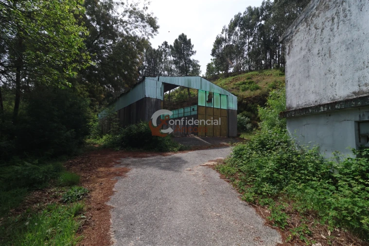 Negócio para Venda em São Paio Foto 115