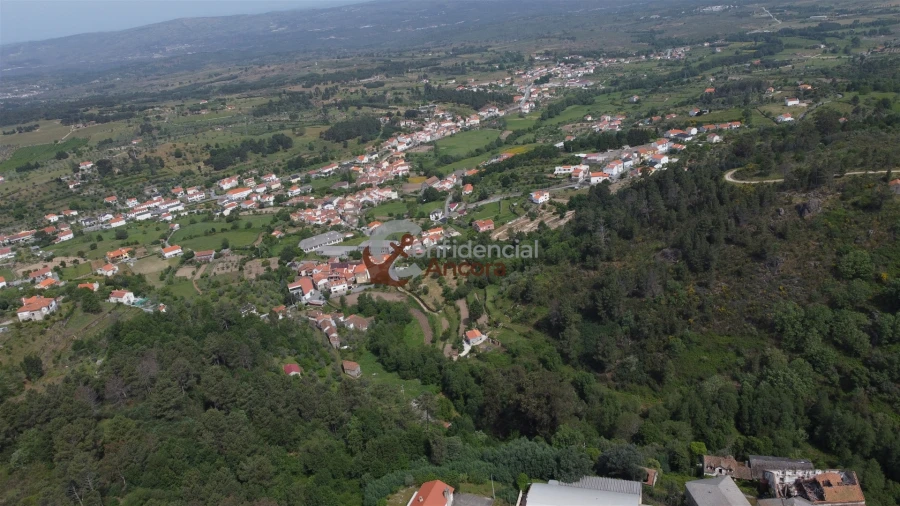 Negócio para Venda em São Paio Foto 36
