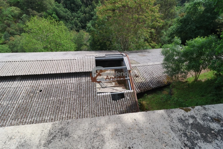 Negócio para Venda em São Paio Foto 110