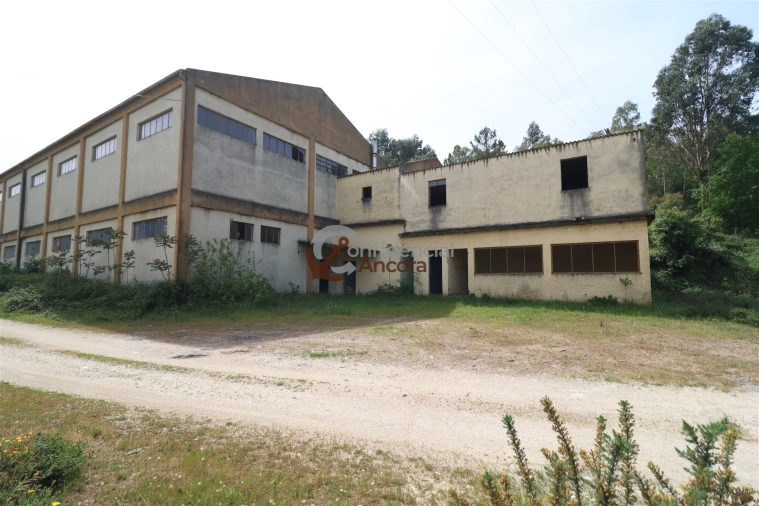 Negócio para Venda em São Paio Foto 63