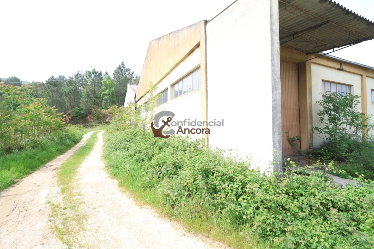 Negócio para Venda em São Paio Foto 58