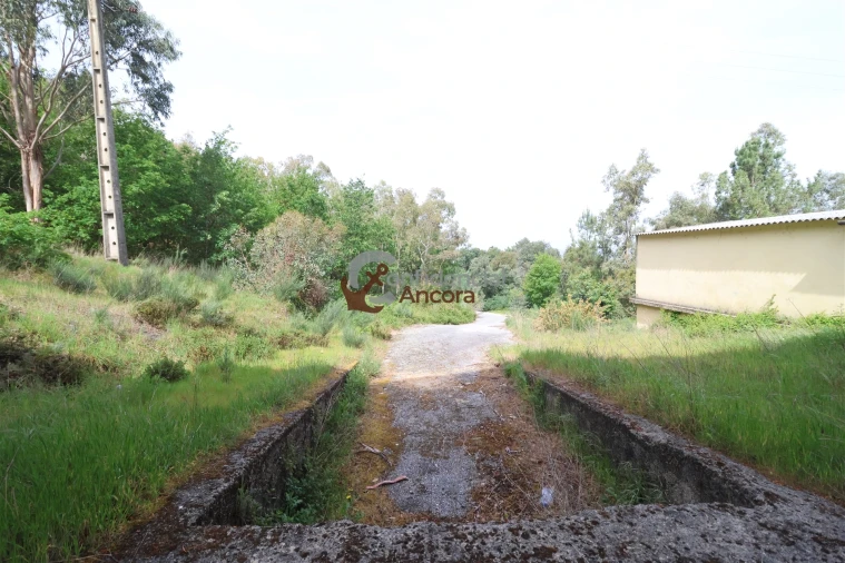 Negócio para Venda em São Paio Foto 56