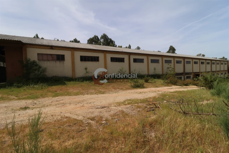 Negócio para Venda em São Paio Foto 50