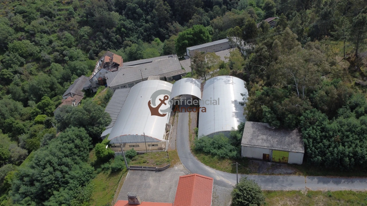 Negócio para Venda em São Paio Foto 29