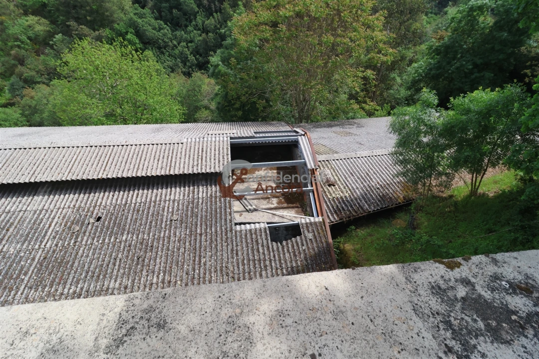 Negócio para Venda em São Paio Foto 110
