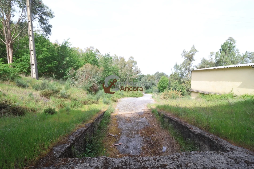 Negócio para Venda em São Paio Foto 56