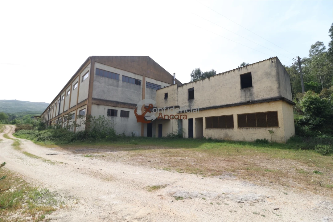 Negócio para Venda em São Paio Foto 39