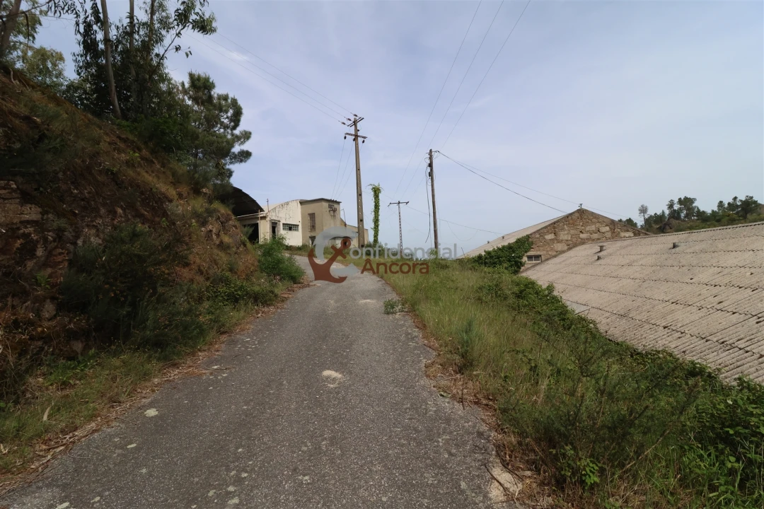 Negócio para Venda em São Paio Foto 76