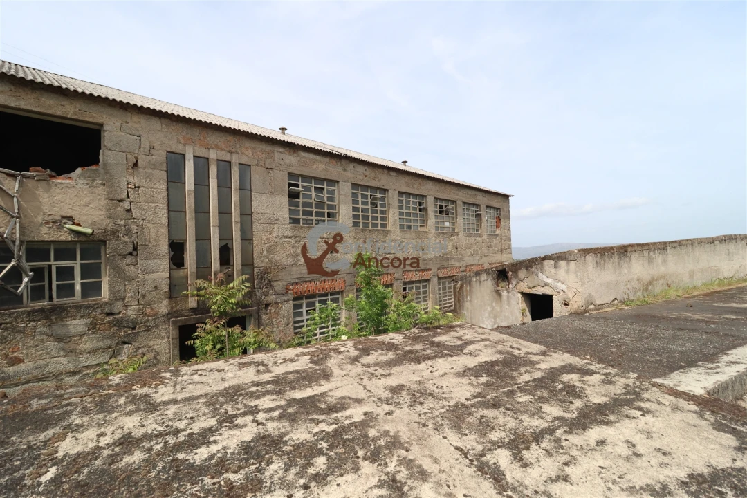 Negócio para Venda em São Paio Foto 113