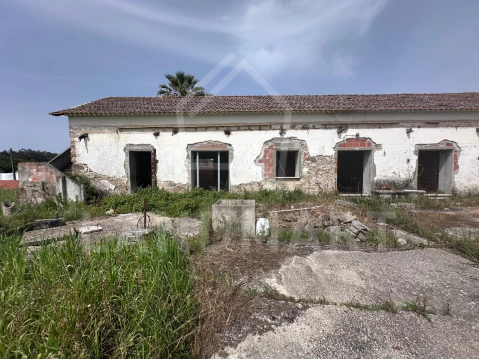 Quinta para Venda em Cela Foto 1