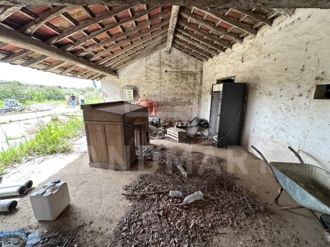 Quinta para Venda em Cela Foto 12
