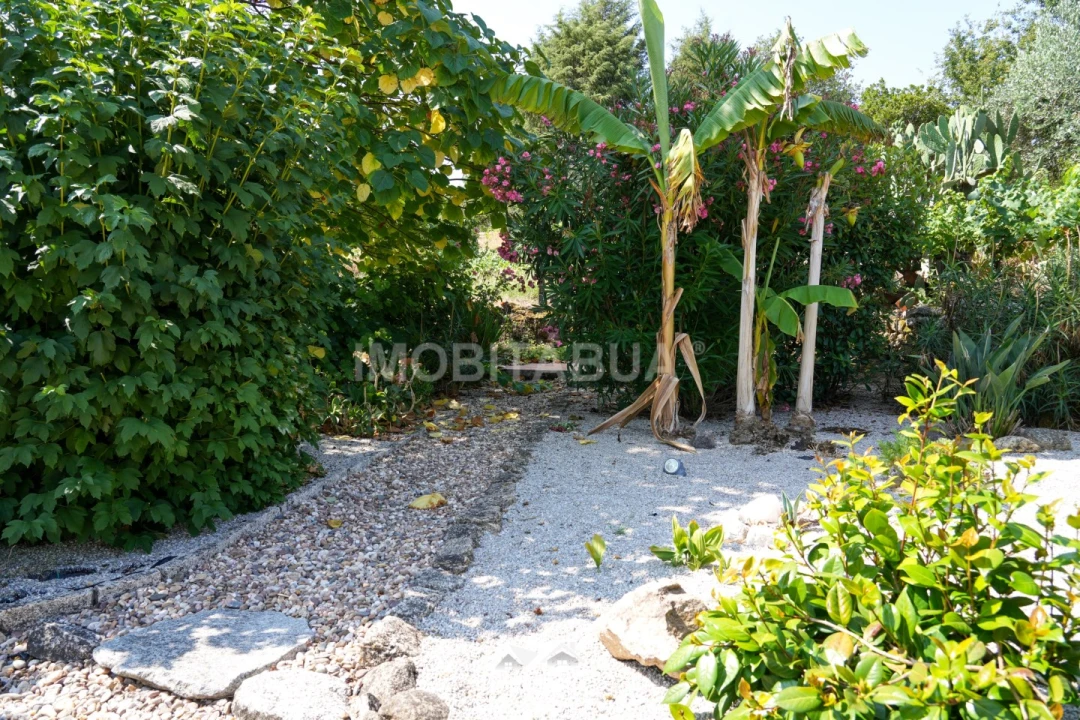 Moradia T2 para Venda em Seixo da Beira Foto 22