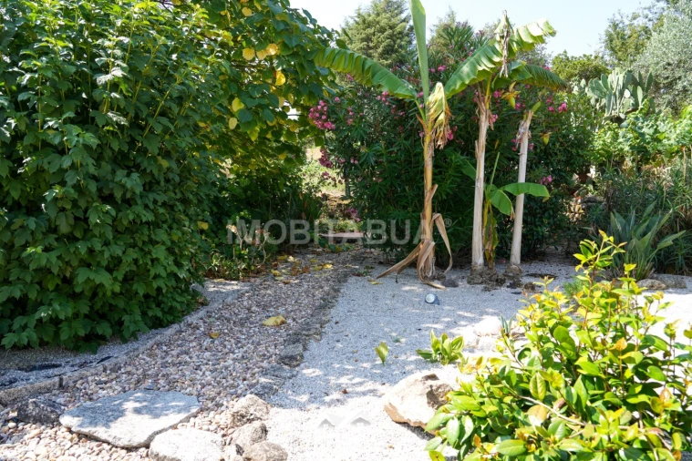 Moradia T2 para Venda em Seixo da Beira Foto 22