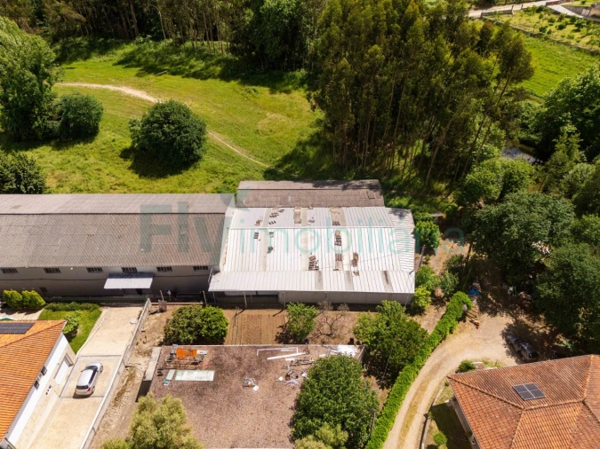 Armazém para Arrendamento em Santo Adrião de Vizela Foto 20