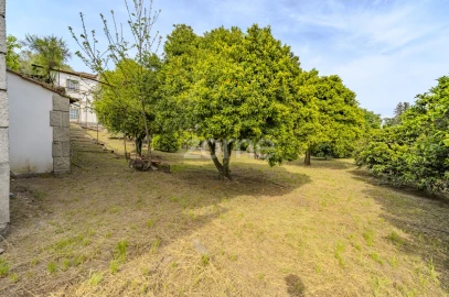 Quinta T16 para Venda em Paço