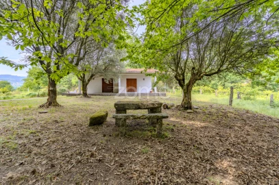 Quinta T16 para Venda em Paço