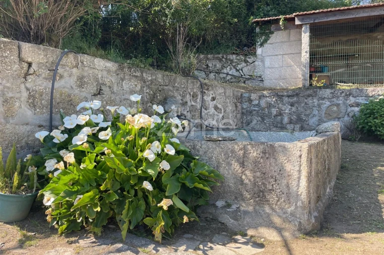 Quinta T16 para Venda em Paço Foto 26