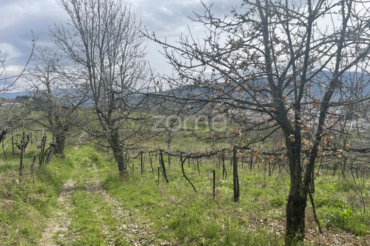 Quinta T16 para Venda em Paço Foto 25