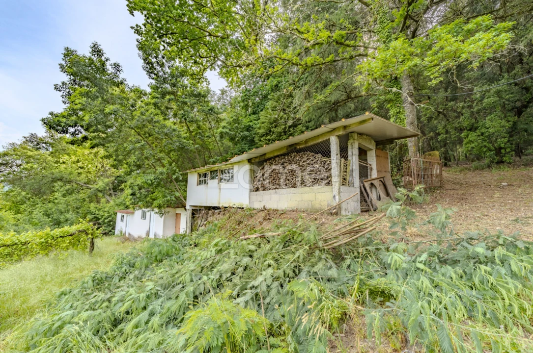 Quinta T16 para Venda em Paço Foto 36