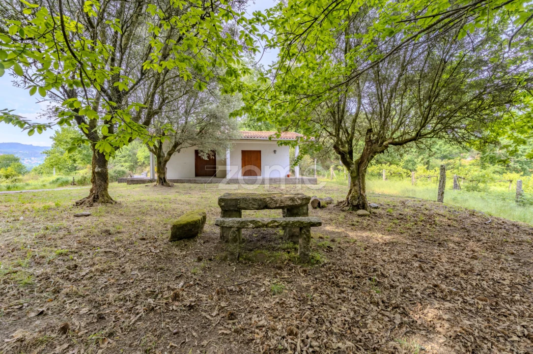 Quinta T16 para Venda em Paço Foto 3