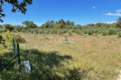 Terreno para Venda em Melides