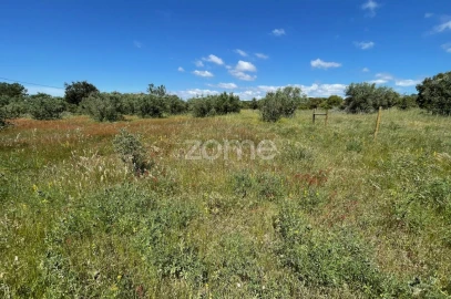 Terreno para Venda em Melides