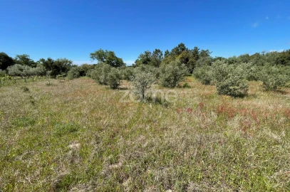 Terreno para Venda em Melides