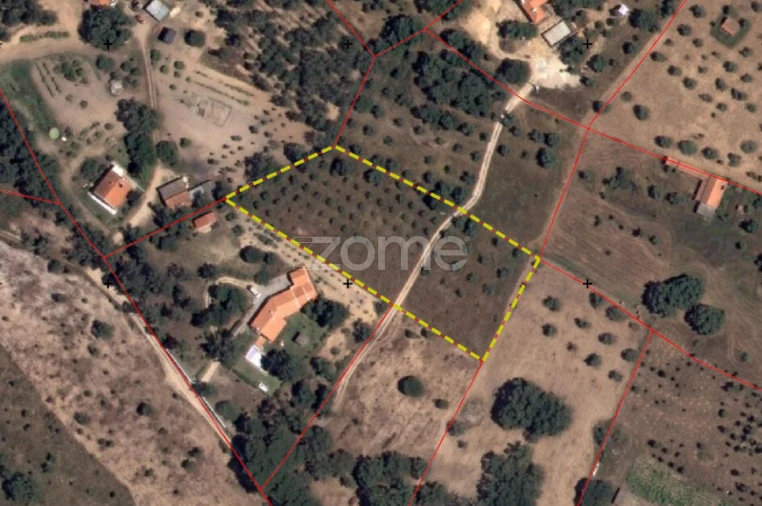Terreno para Venda em Melides Planta 1