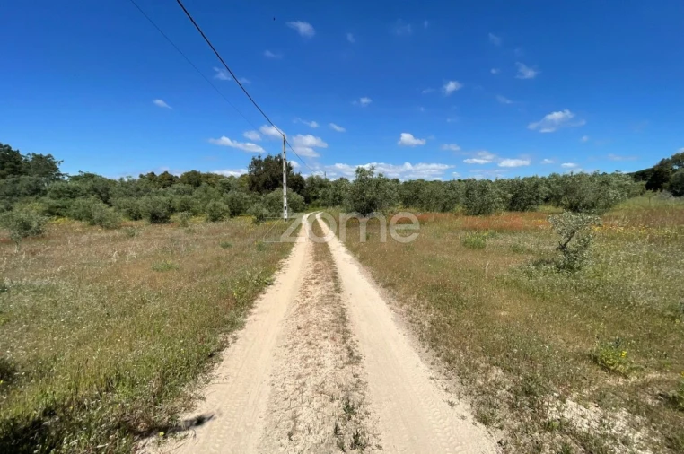 Terreno para Venda em Melides Foto 2