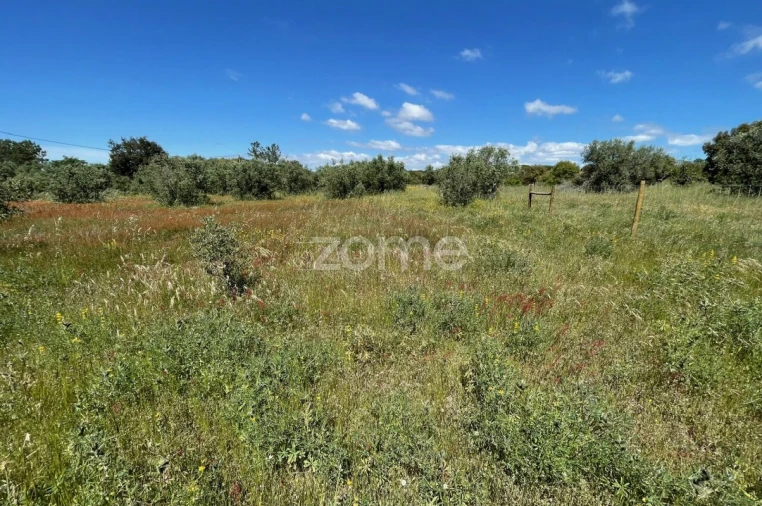 Terreno para Venda em Melides Foto 4