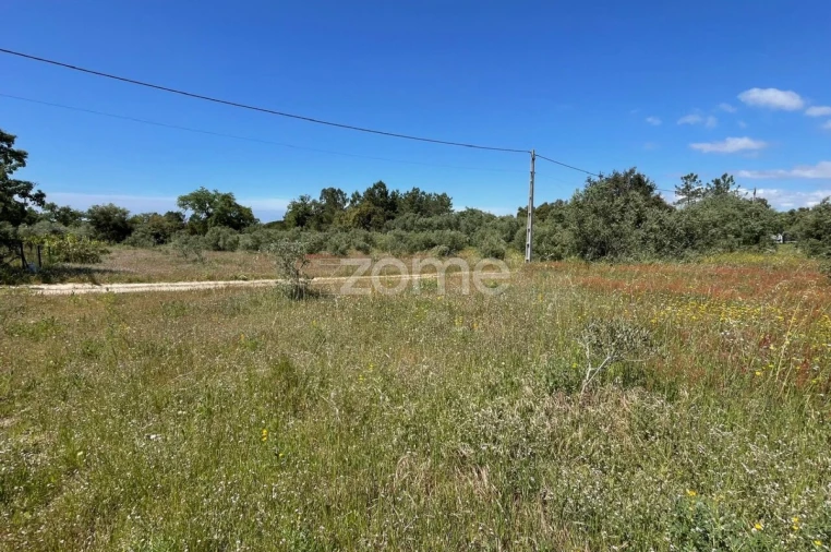 Terreno para Venda em Melides Foto 5