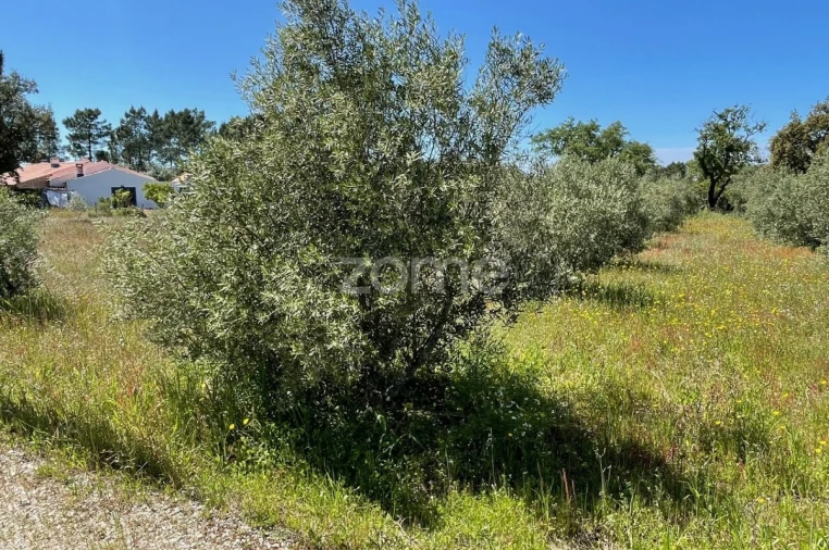 Terreno para Venda em Melides Foto 7