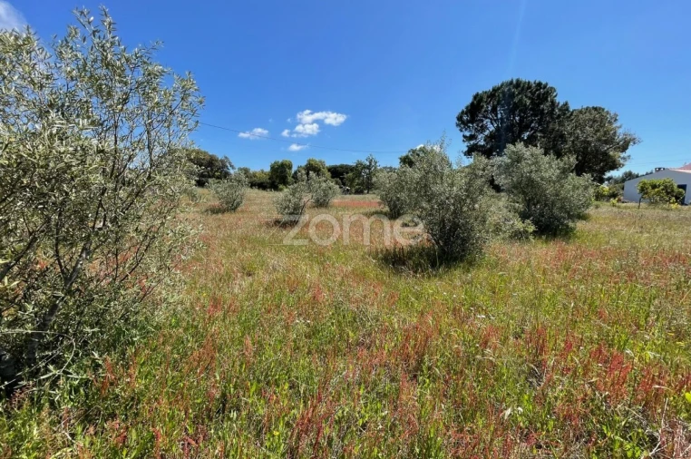 Terreno para Venda em Melides Foto 9