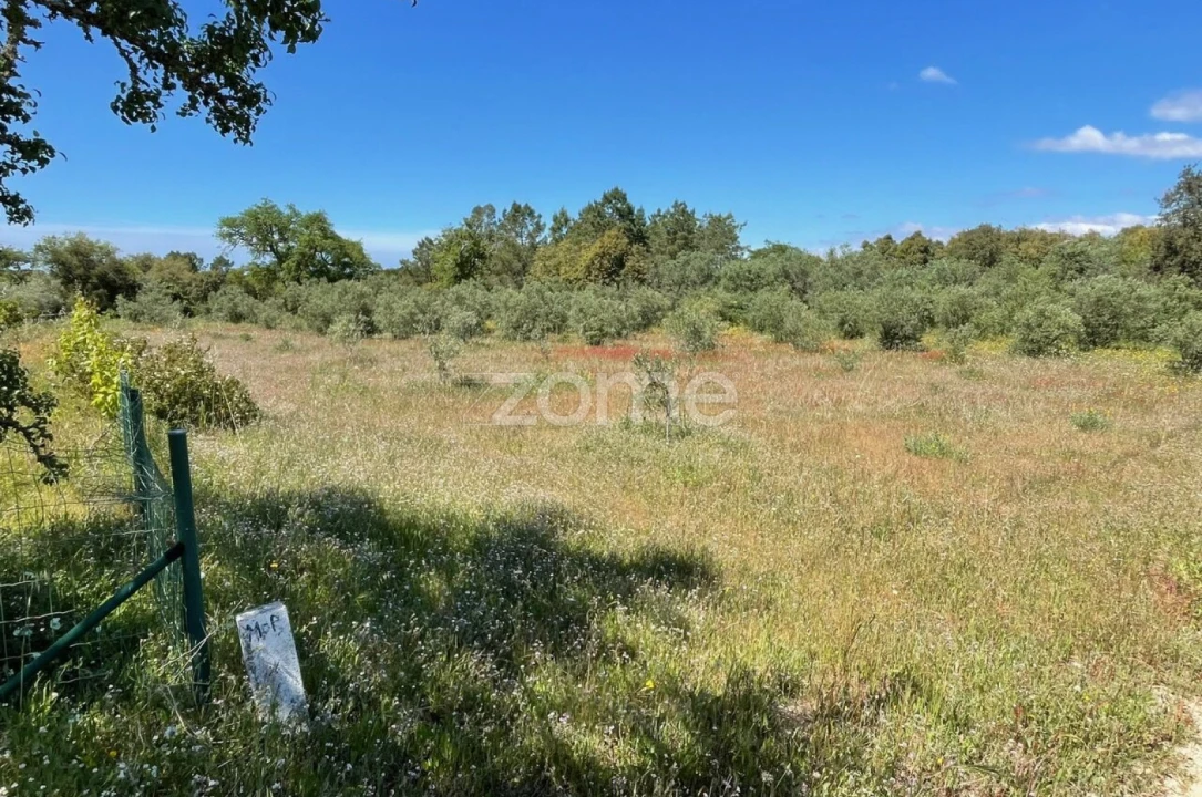 Terreno para Venda em Melides Foto 1