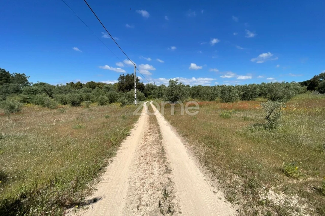 Terreno para Venda em Melides Foto 2