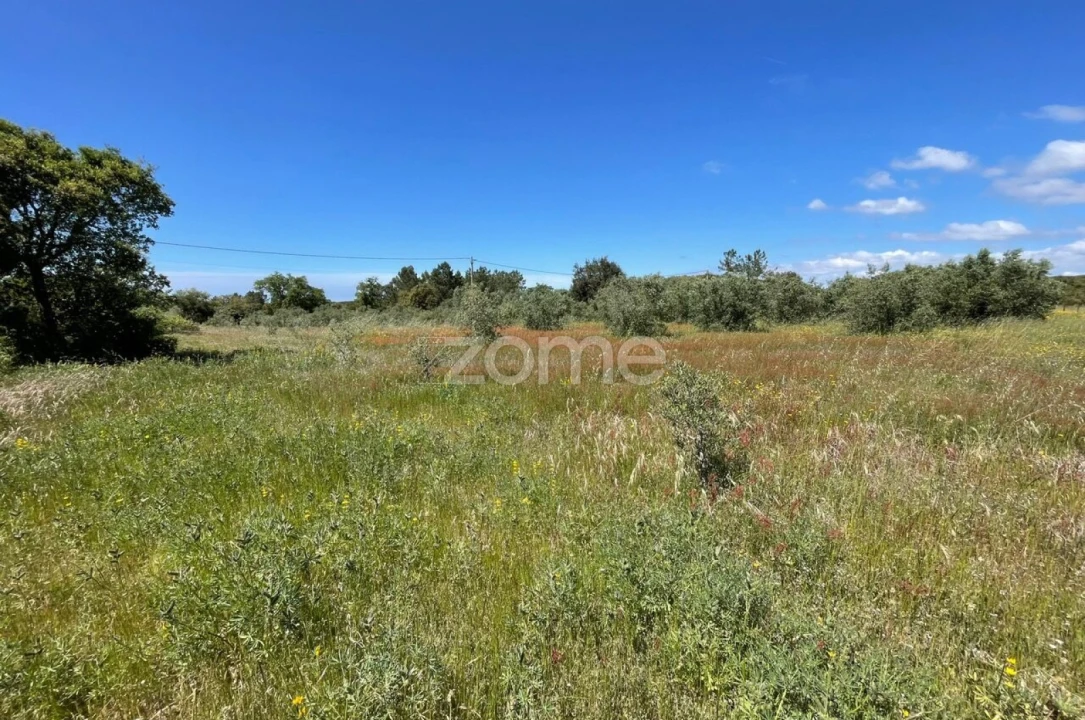 Terreno para Venda em Melides Foto 3
