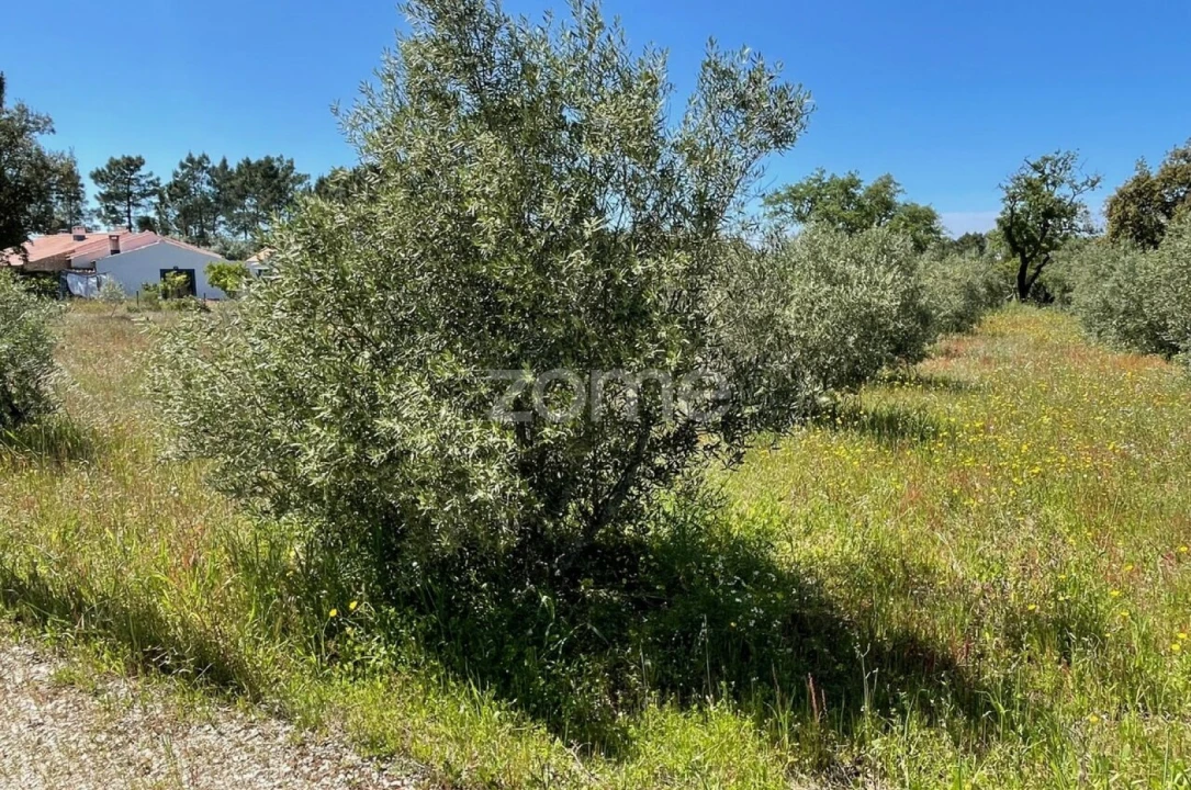 Terreno para Venda em Melides Foto 7