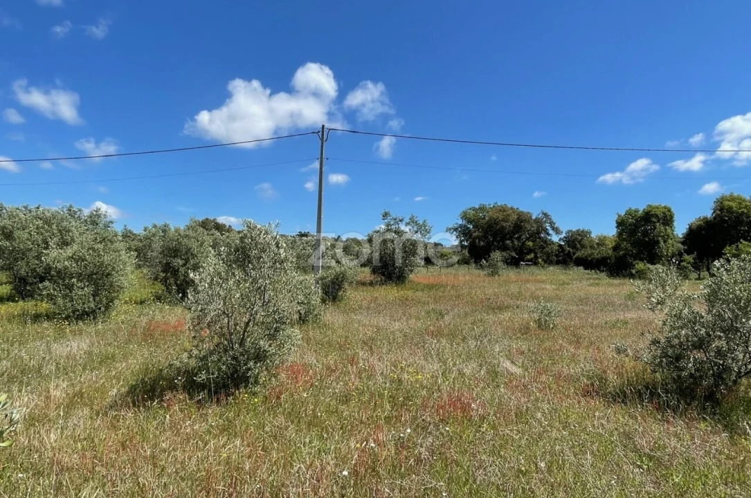 Terreno para Venda em Melides Foto 10