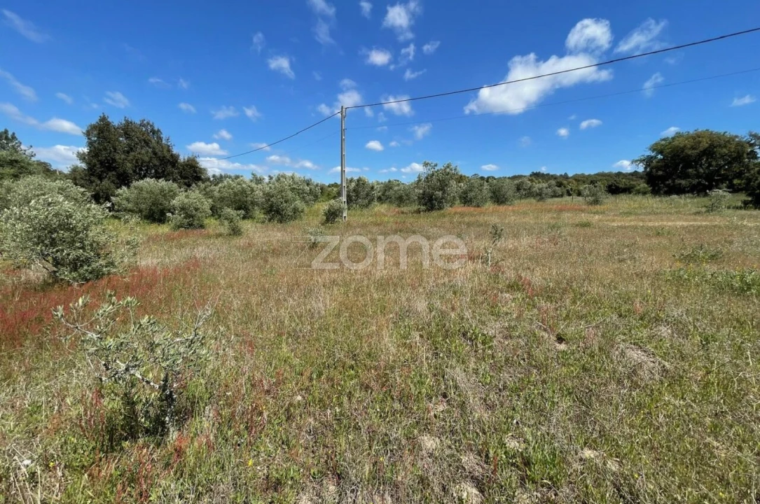 Terreno para Venda em Melides Foto 11