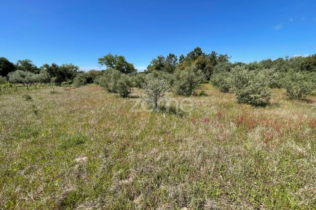 Terreno para Venda em Melides Foto 12