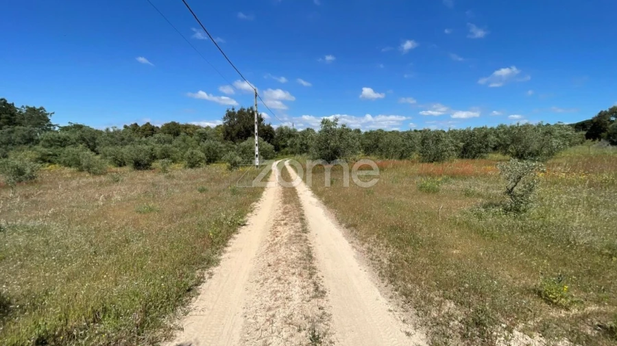 Terreno para Venda em Melides