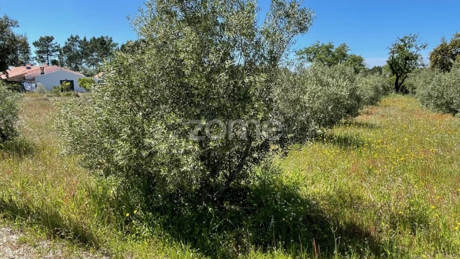 Terreno para Venda em Melides