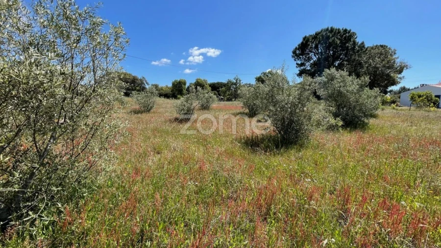 Terreno para Venda em Melides