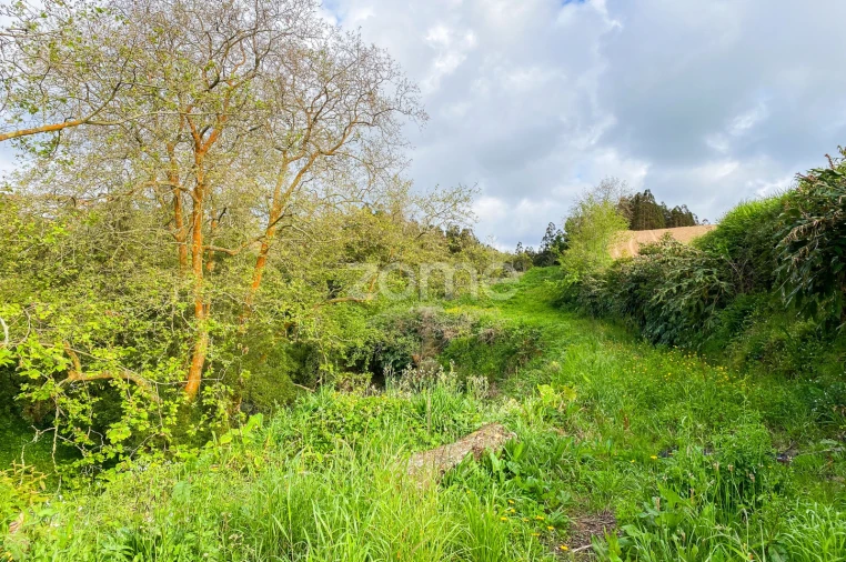 Terreno para Venda em Lomba da Maia Foto 5