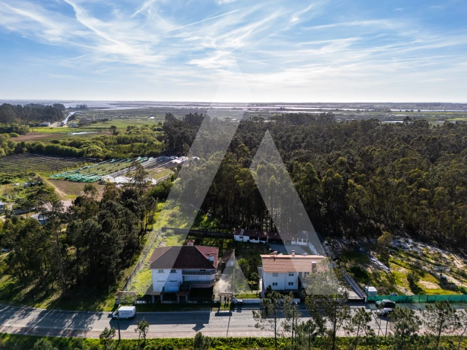 Apartamento T2 para Venda em Valega Foto 24