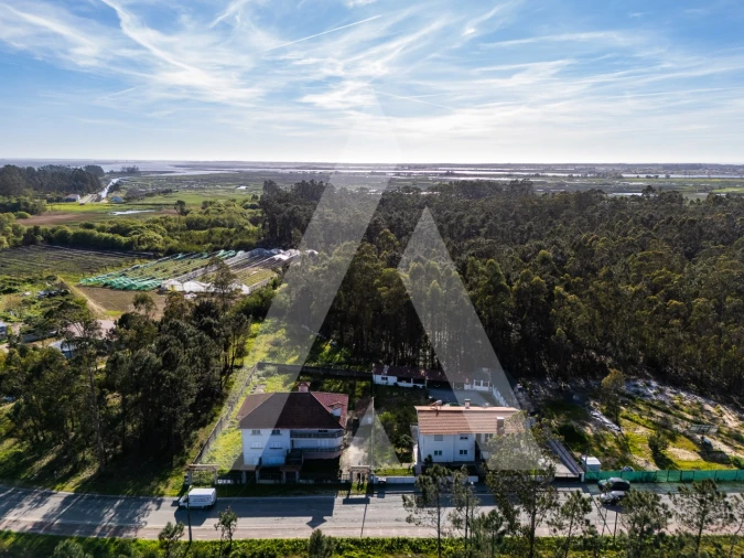 Apartamento T2 para Venda em Valega Foto 24
