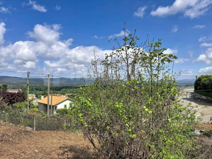Moradia T1 para Venda em Gondarem Foto 13
