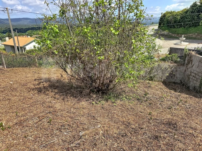 Moradia T1 para Venda em Gondarem Foto 15